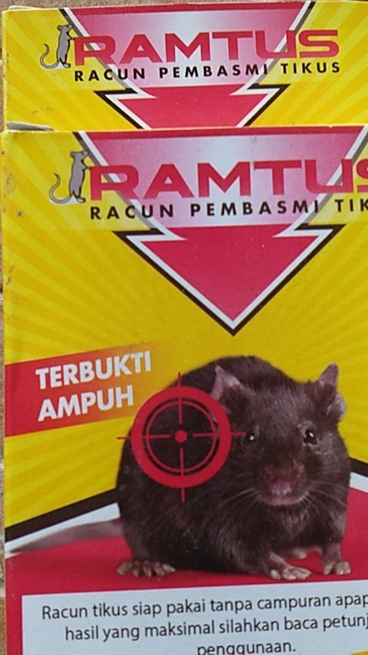Ramtus Racun Tikus Got Curut Paling Ampuh Pembasmi Tikus Dirumah Racun Tikus Di Mesin Mobil 2 Pack