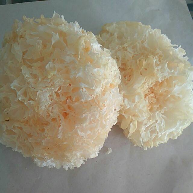 

bok ni (white fungus) 100g