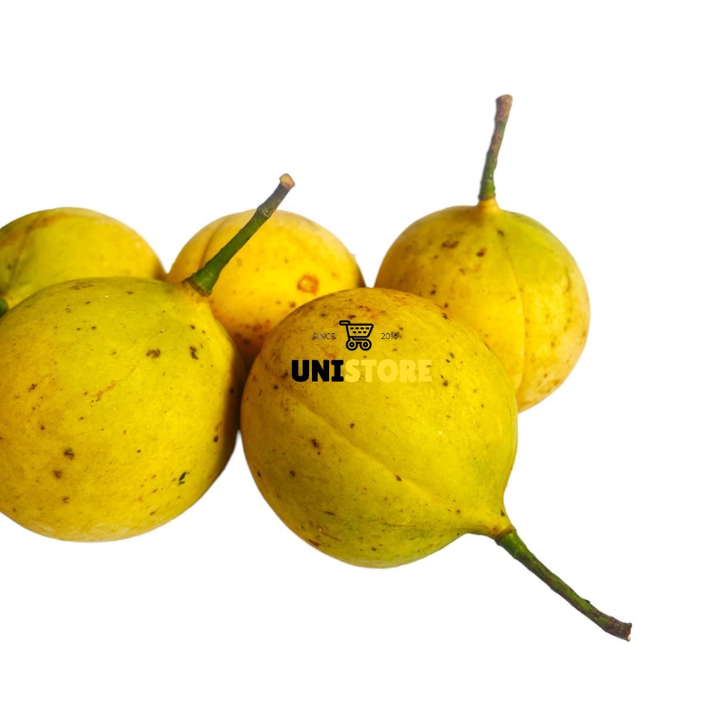 

Buah Pala Segar Untuk Herbal insomnia Dan Bahan MAnisan Pala
