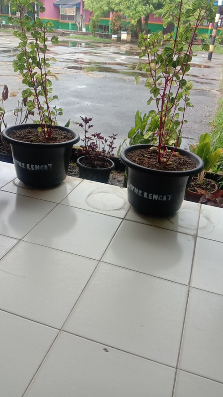 Keripik Kaca 50gram | Keripik Beling | Kripik Kaca | Makanan Pedas | Cemilan | Kripik Beledag