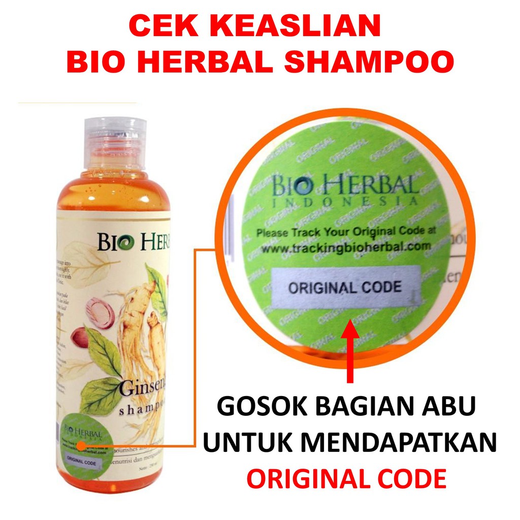 Vitamin Rambut Rontok Paket Ginseng Shampoo dan Hair Tonic B3B-6
