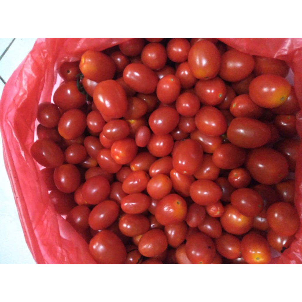 Tomat Ceri Merah 1kg/pack