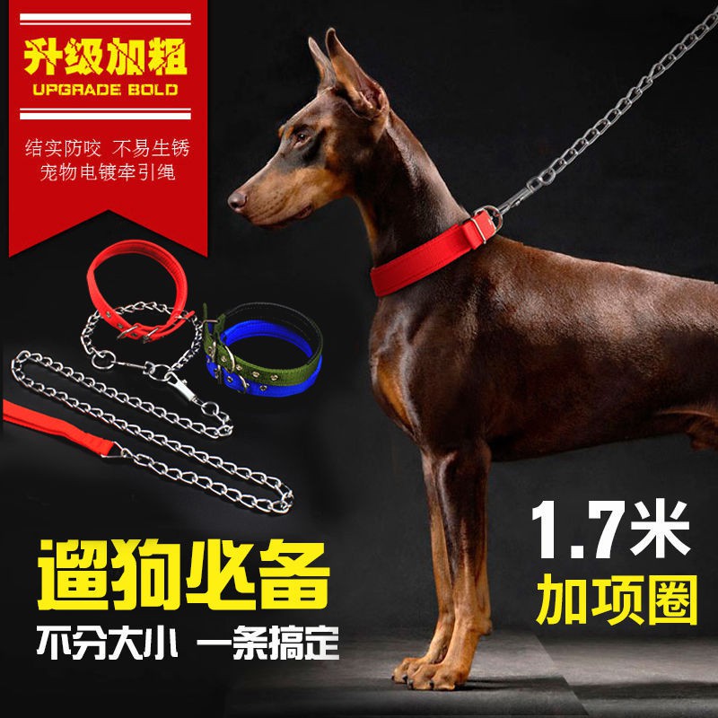 Tali Tuntun Anjing Warna Emas Shopee Indonesia