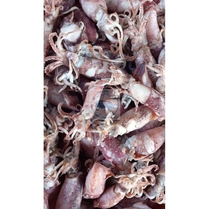 

[COD] CUMI KERING CUMI ASIN JARUM 500 GRAM - DRIED SALTY TINY SQUID [COD]
