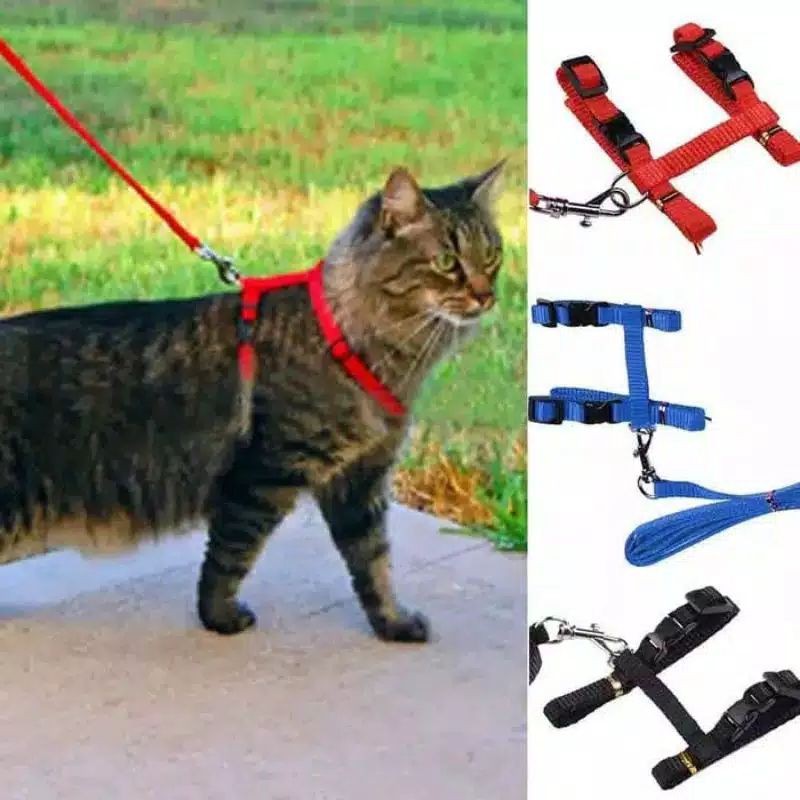 Tali hernes harness polos model H pengait tebal utk kucing ,musang,kelinci,anjing kecil grosir ecer