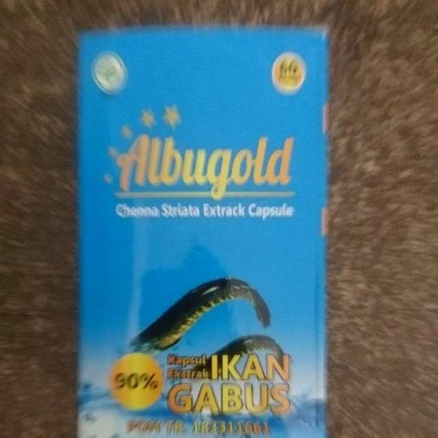 

Albugold ekstrak IKAN KUTUK Ikan Gabus kapsul ekstrak