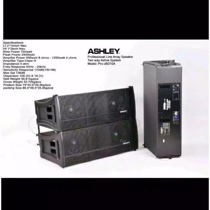 ORIGINAL - SPEAKER LINE ARRAY ASHLEY PRO DB210A TWO WAY AKTIF 10 INCH DG63213ES