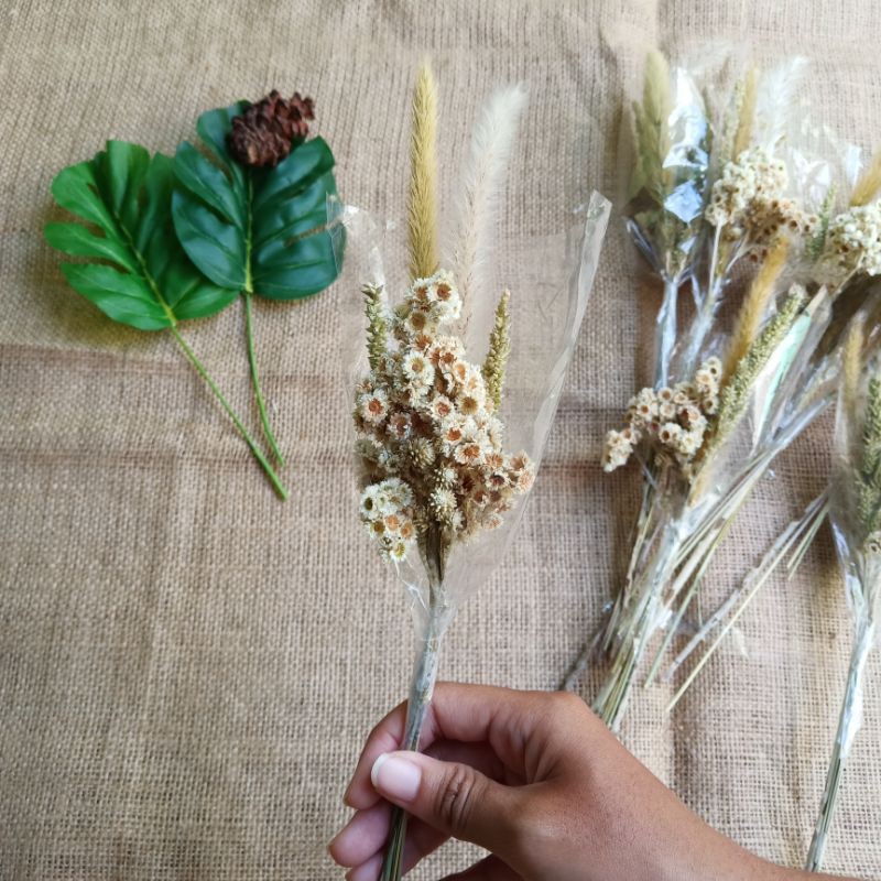Bunga kering mini bouquet cantik edelweiss