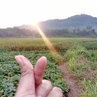 khohiruniha