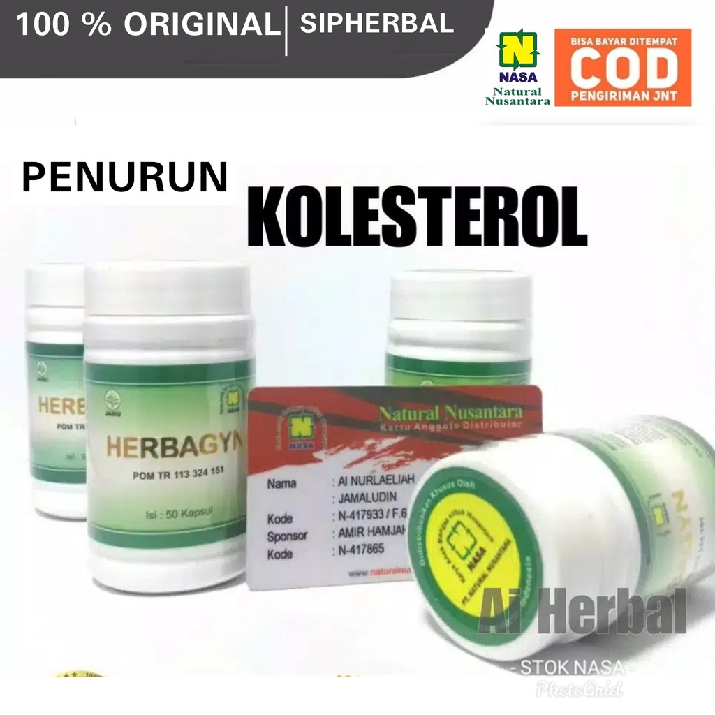 Herbaghin NASA Obat Herbal Penurun kolesterol