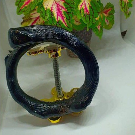 Gelang akar bahar hitam jumbo elegan kuwalitas super