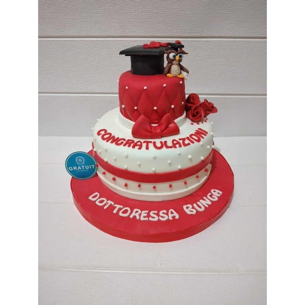 

cake wisuda ukuran 20cm + 10cm