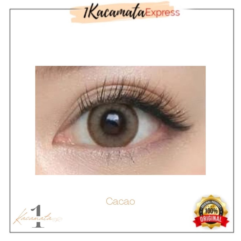 SOFTLENS WARNA NORMAL LOOK NATURAL LUNA