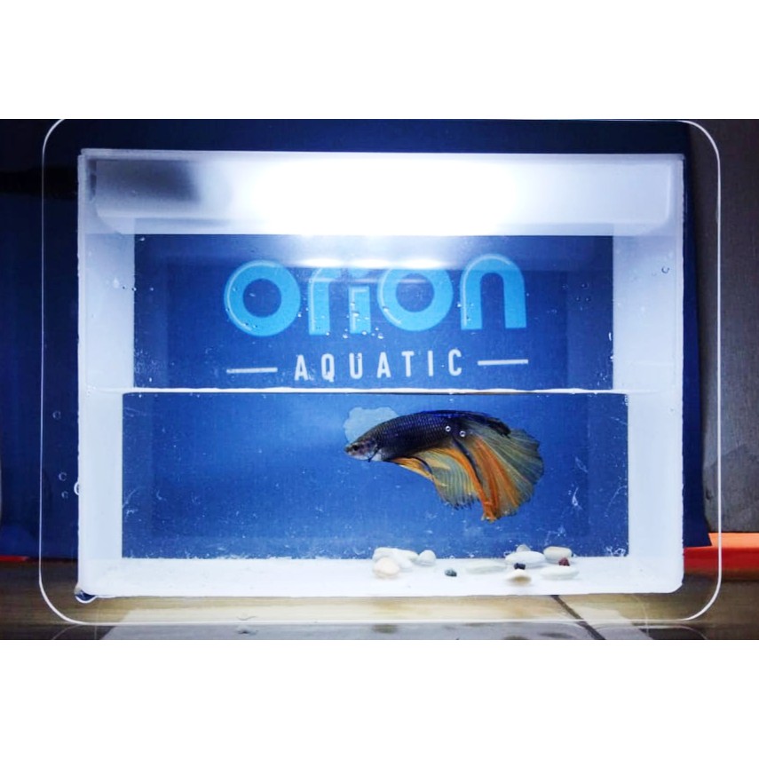 Soliter Akrilik Poseidon Mini L1 White - soliter akrilik - soliter ikan cupang - soliter cupang