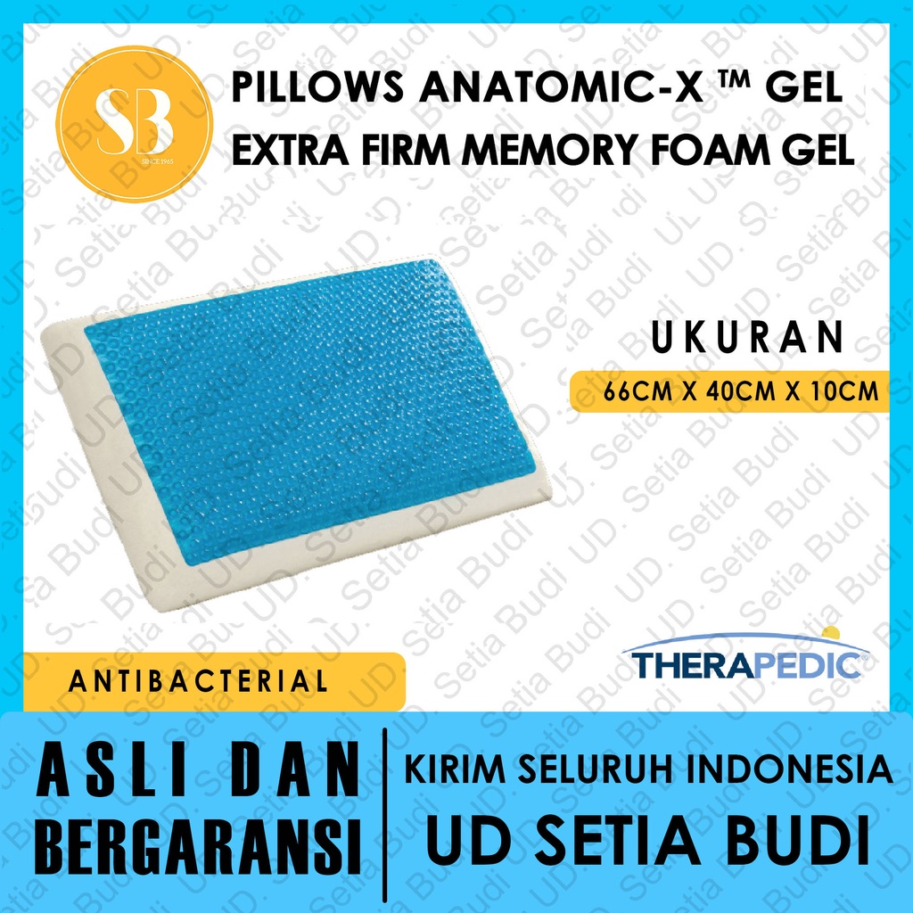 Bantal Therapedic Anatomic X Gel Extra Firm Memory Foam