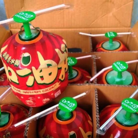 

CUCI GUDANG buah kelapa thailand thumb namhom 1dus 9buah