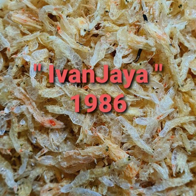 

Udang Rebon Kecepe Tawar Medan 1Kg