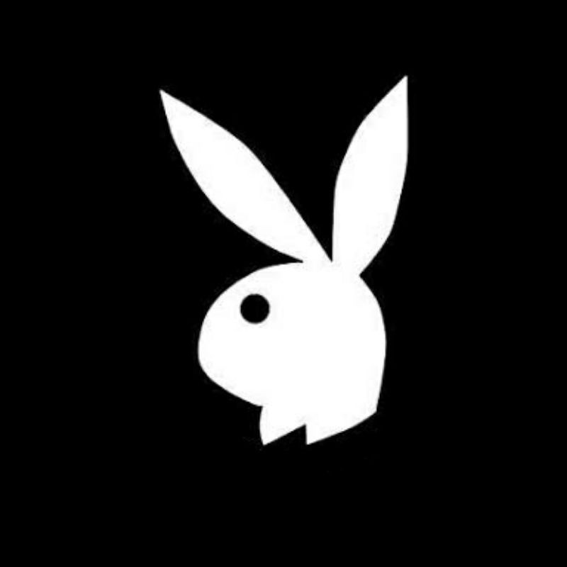 

stiker 2 kelinci not playboy