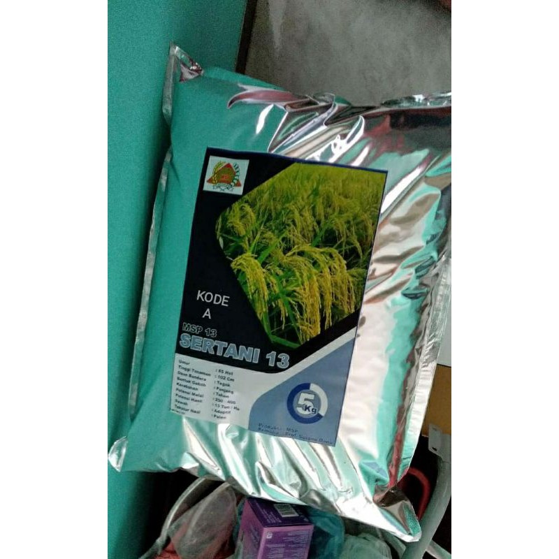 Padi Sertani 13a (gratis polybag)