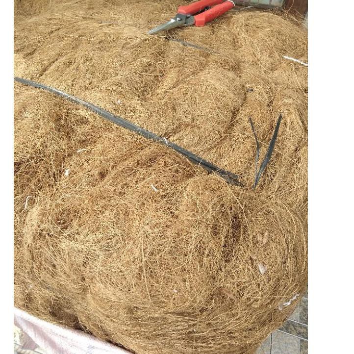 Import Terlaris sabut kelapa / cocofiber 1kg