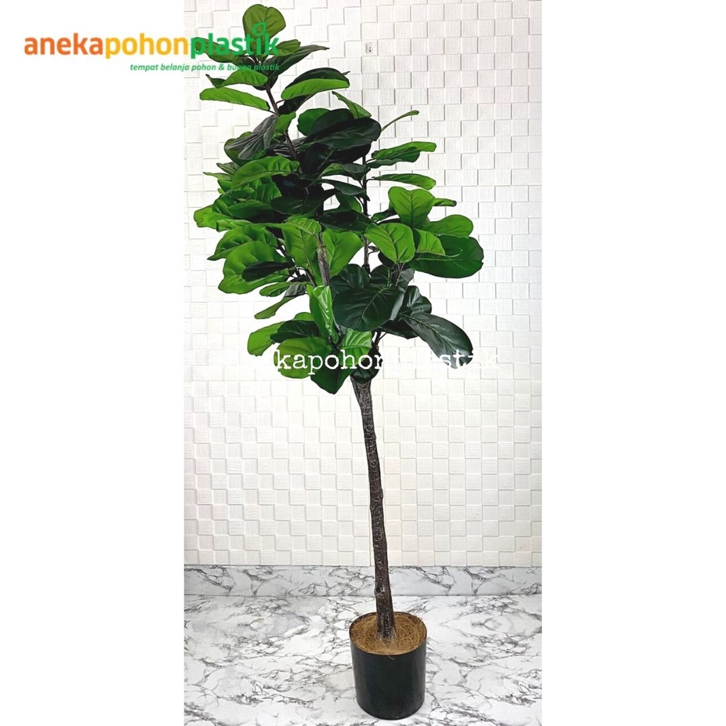 Pohon Ketapang Artificial T180 Pohon Ketapang Latex Dekorasi Rumah Aesthetic Hiasan Decor