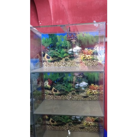 Aquarium 60x30x30 background