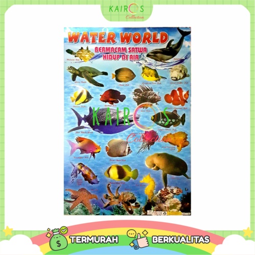 Poster Edukasi Anak Belajar Ikan Water World