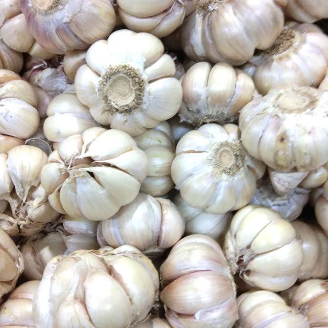 

Cuci Gudang Awal Tahun bawang putih Big Sale