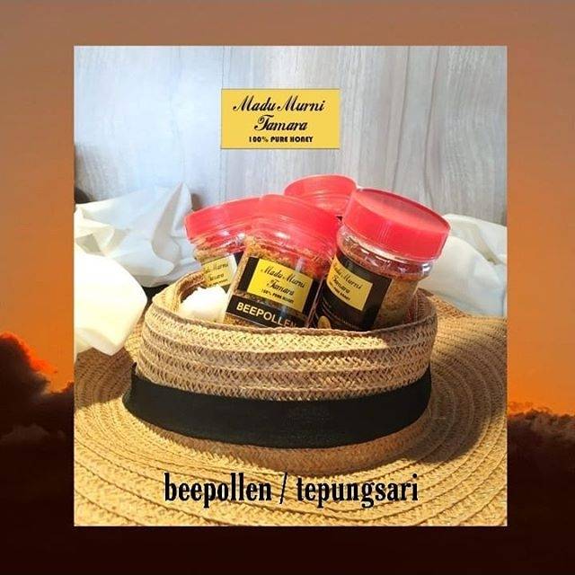

Beepollen (tepungsari bunga)