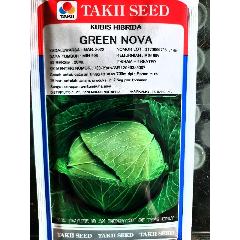 Green Nova kubis hibrida