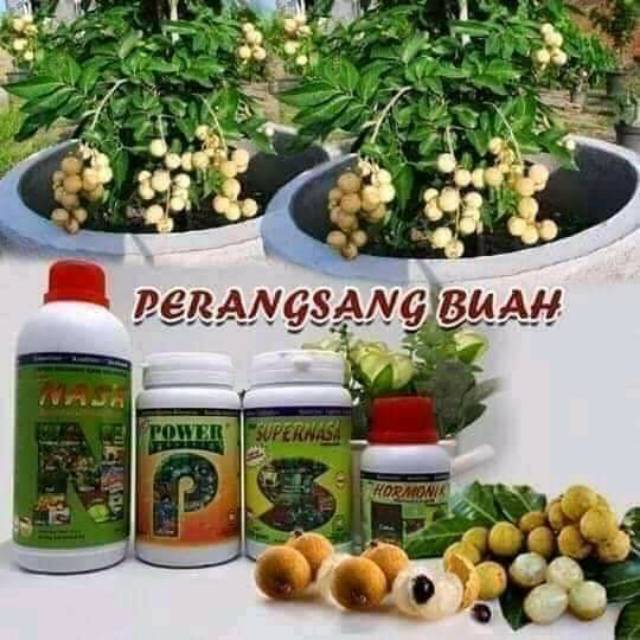 PAKET PUPUK ORGANIK PERANGSANG BUAH NASA