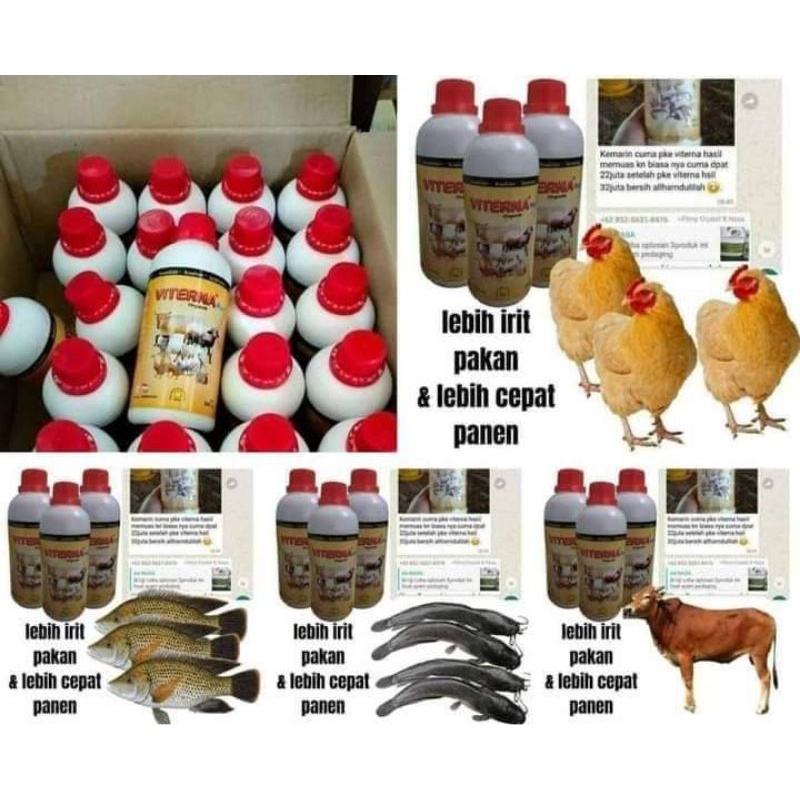viterna nasa/vitamin ternak