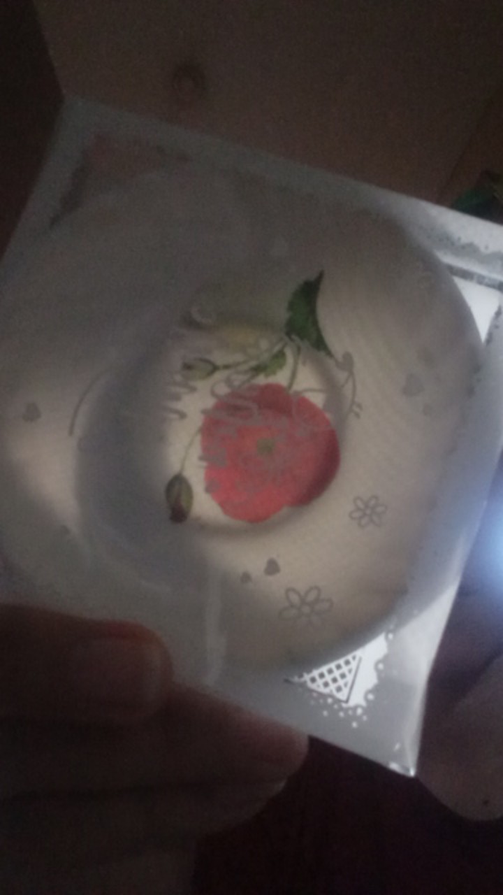 Souvenir Pernikahan Mangkok Ceper Bulat Kemas Mika 50pcs