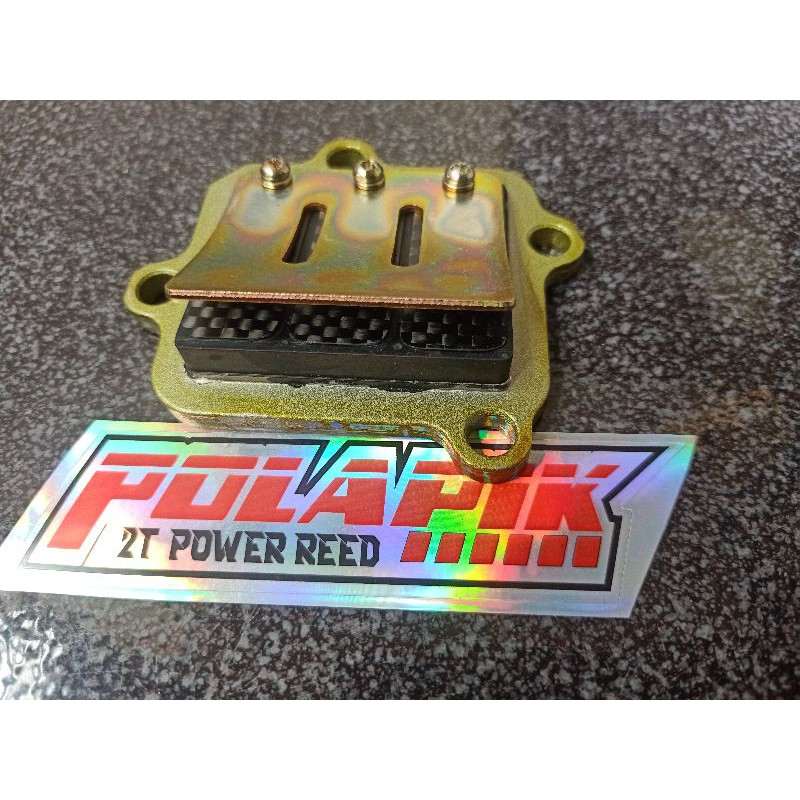 membran carbon set F1ZR FIZ R MEMBRAN KARBON  F1ZR LIDAH CARBON KOMPLIT 1 SET