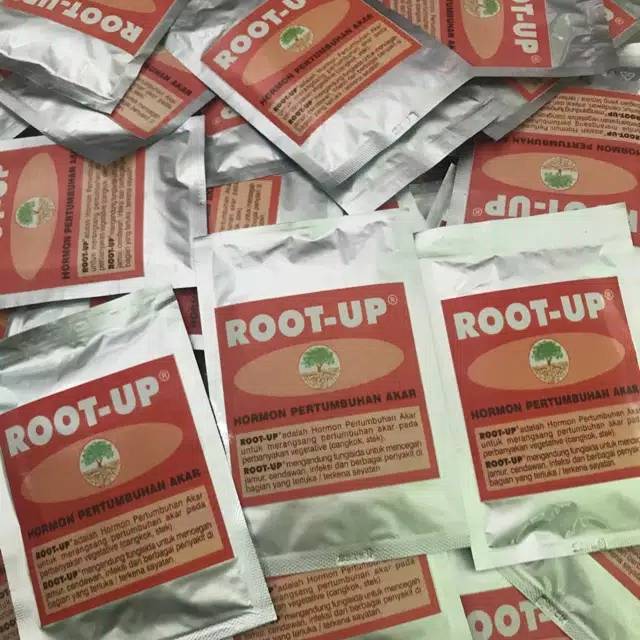 Root up perangsang akar dan hormon pertumbuhan akar 10gram