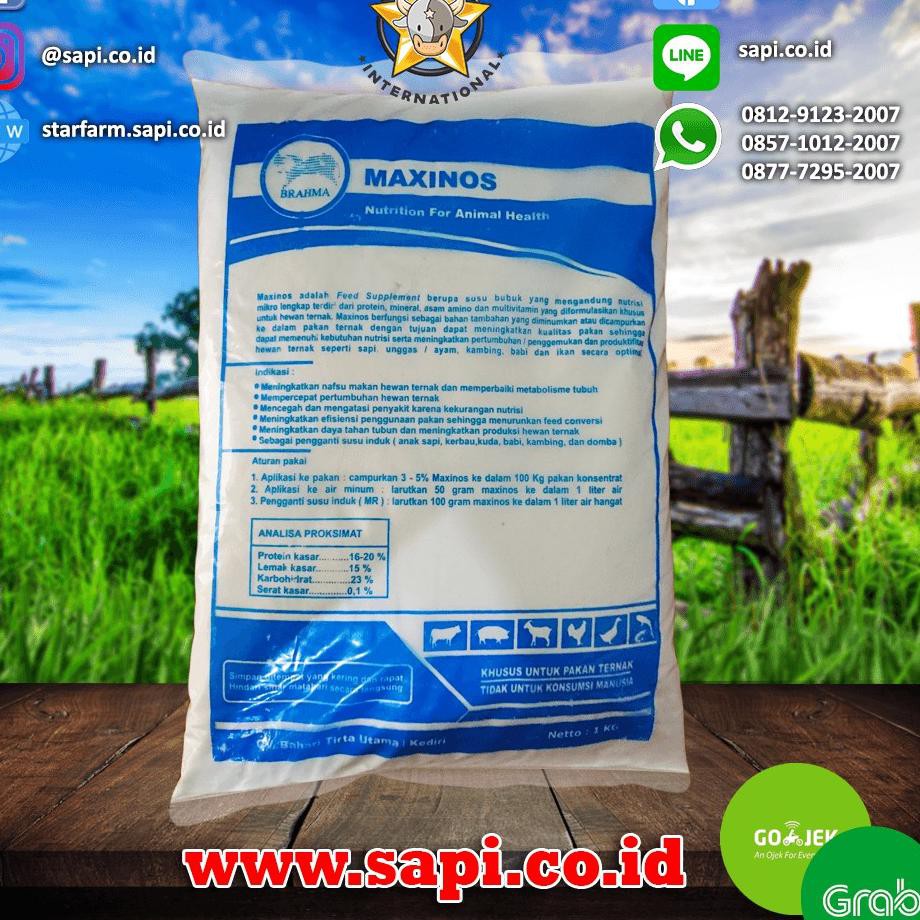 

Ready stock Star Farm BTM - MAXINOS 1Kg Susu Pengganti Untuk Pedet & Cempe NEW CDC