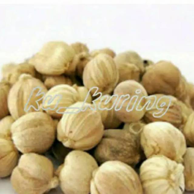 

Kapulaga Organik / Kapulaga Murni / 100 gram