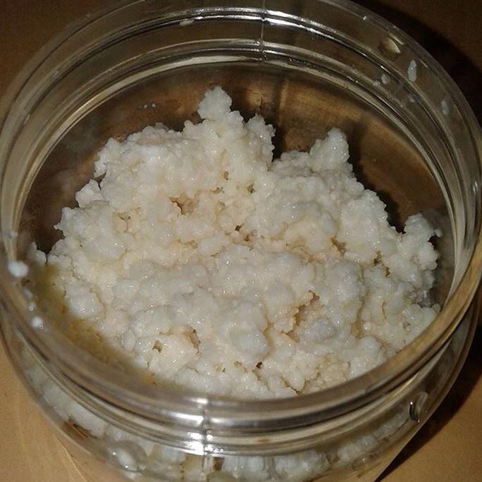 

bibit kefir/grainkefir