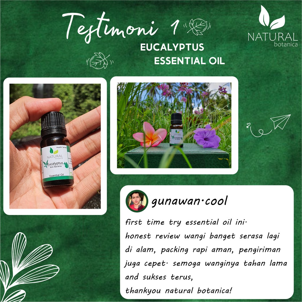 Natural Botanica Eucalyptus Essential Oil Pure Minyak Esensial Ekaliptus Aroma Terapi Diffuser Humidifier