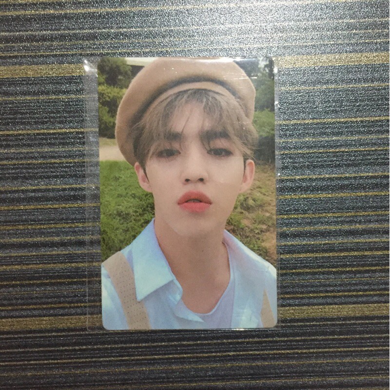 Seventeen an ode pc beret seungcheol scoups
