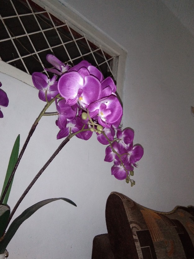 Nagada Spon Mandi / Bath Sponge / Spons Mandi Mekar 15 Gr / Shower Puff - 2w