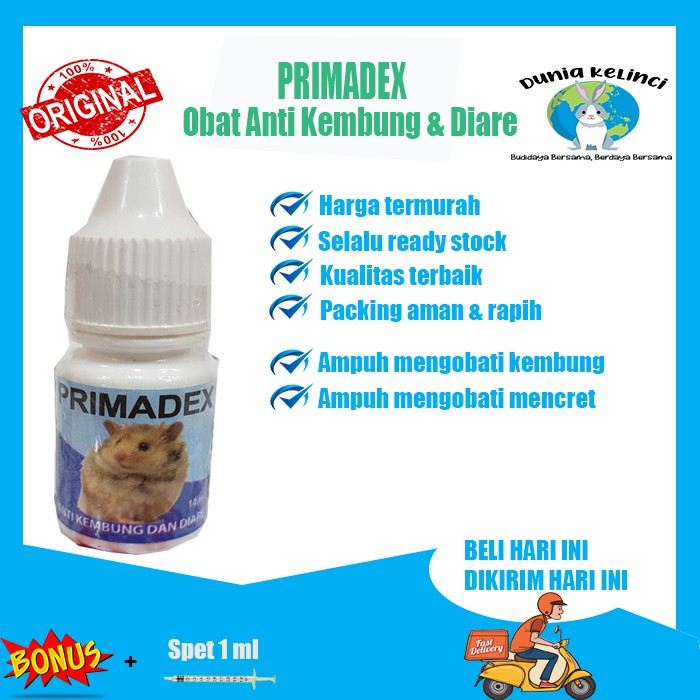 OBAT MENCRET KEMBUNG HAMSTER PRIMADEX DIARE