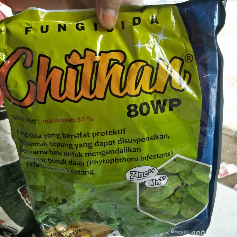 Fungisida Chithan / Chitan / Cithan 80wp Isi 800 Gr