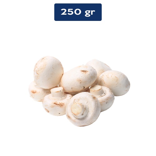 

Jamur Kancing Campignon 250gr