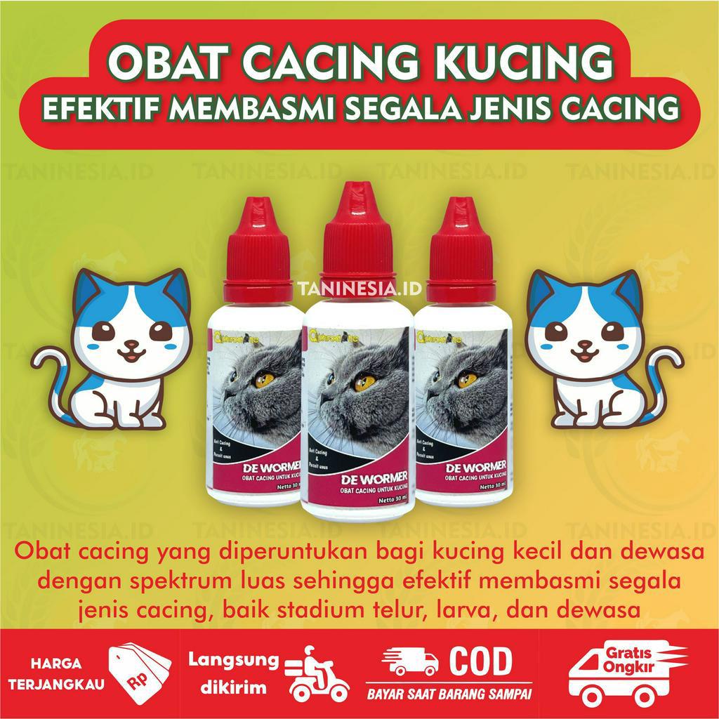 OBAT CACING KUCING AMPUH KITTEN KUCING DEWASA OBAT CACING TETES CAIR ANAK KUCING YANG BAGUS 30ML