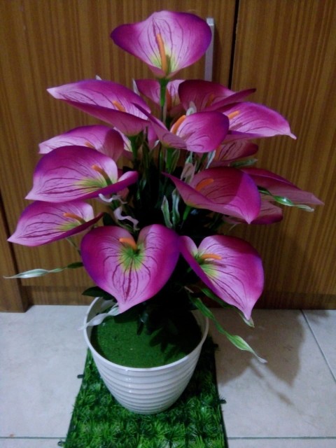Bunga Calla Lily Artificial 7 Kuntum (tanpa Pot)