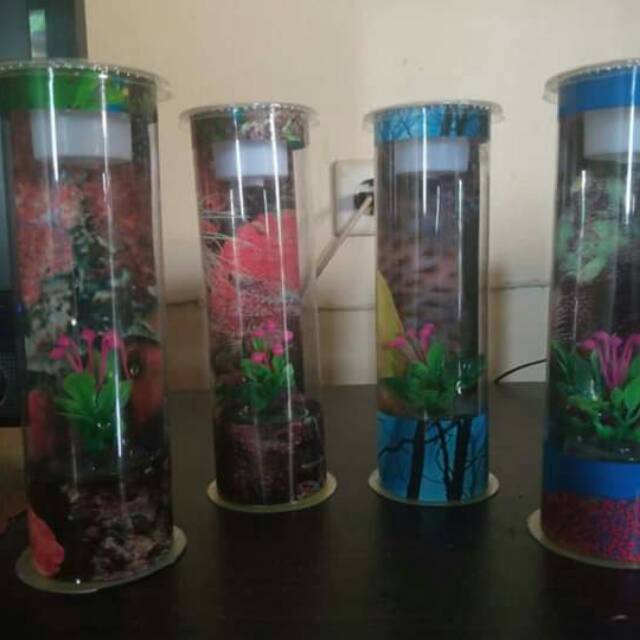 Aquarium mini