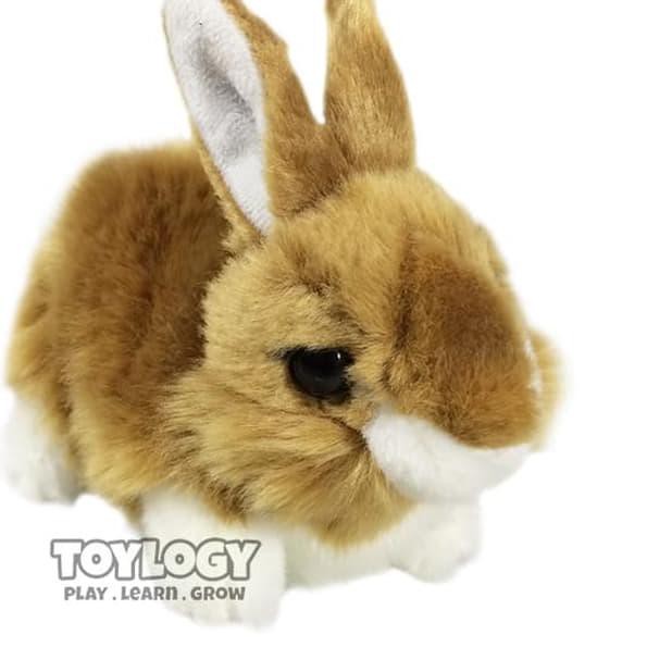 ♠ Boneka Kelinci Coklat ( Rabbit Bunny Brown Stuffed Plush Animal Doll ) ➷