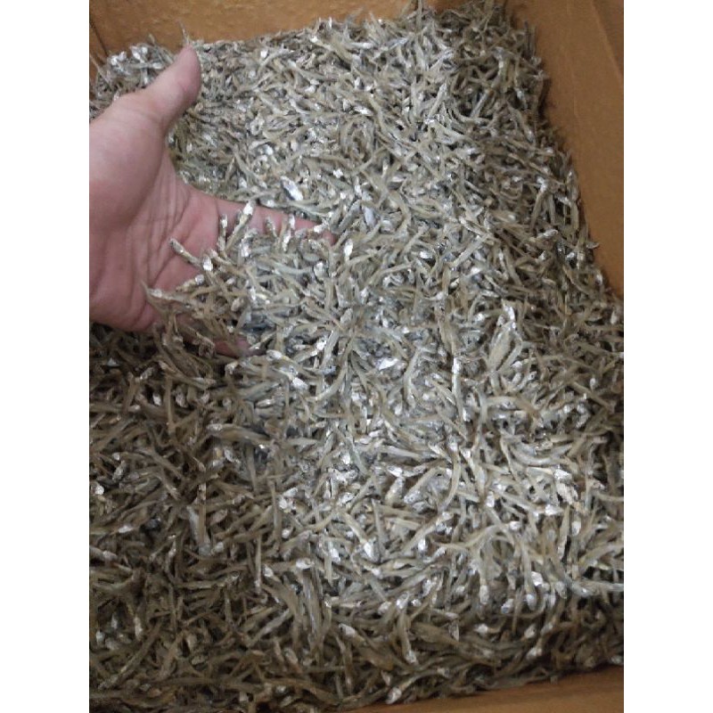 

DIJAMIN PUAS...!! IKAN Teri kualitas PREMIUM.