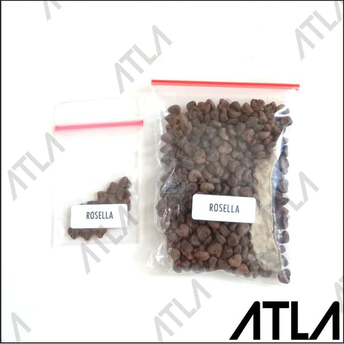 Diskon Benih Bunga  Rosella Ungu  10 Gram Bibit Tanaman Biji 